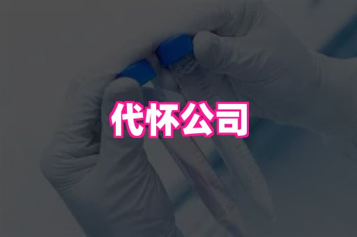 天津助孕网站 3