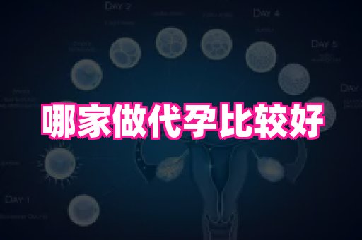 天津助孕网站 4